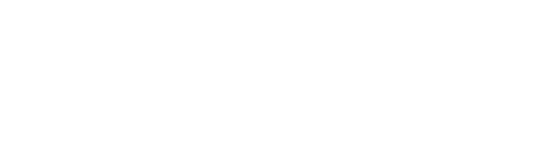 BravoSine